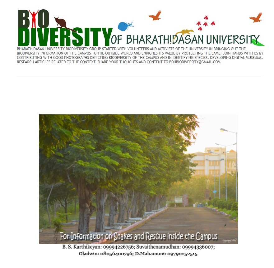 Biodiversity Blog